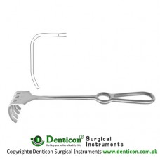 Israel Retractor 5 Blunt Prongs Stainless Steel, 25.5 cm - 10" Blade Size 45 x 50 mm
